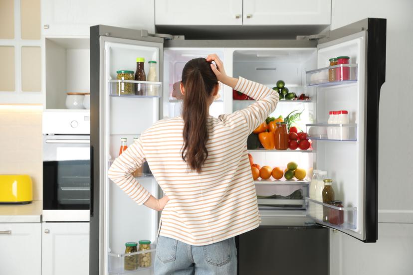 Let op het energieverbruik van je koelkast